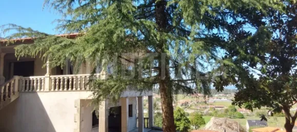 4 Schlafzimmer Haus in Martim, Portugal, Nr. 171318 4