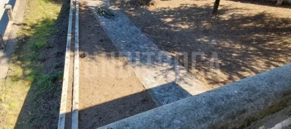 4 Schlafzimmer Haus in Martim, Portugal, Nr. 171318 6