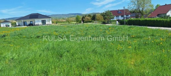  Land in Wartburgkreis, Germany No. 221211 3