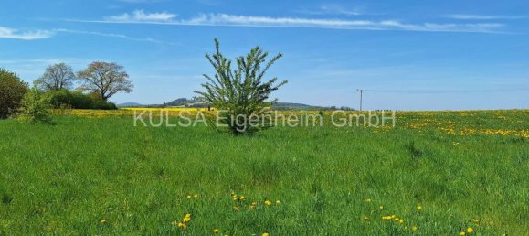  Land in Wartburgkreis, Germany No. 221211 5