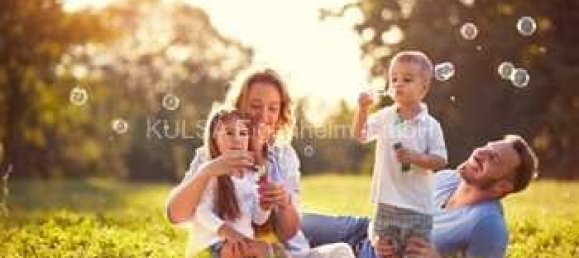  Land in Wartburgkreis, Germany No. 221211 6