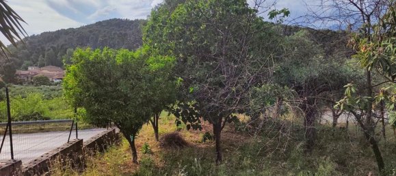 9 rooms House in Telese Terme, Italy No. 121809 2