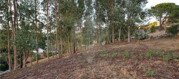 9 bedrooms Land in Amarante, Portugal No. 52288 10