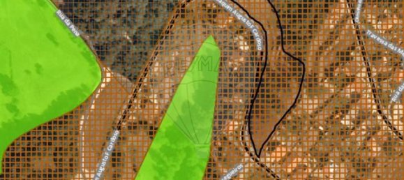 9 bedrooms Land in Amarante, Portugal No. 52288 13