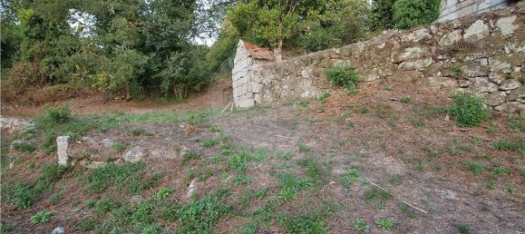 9 bedrooms Land in Amarante, Portugal No. 52288 6