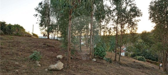 9 bedrooms Land in Amarante, Portugal No. 52288 8