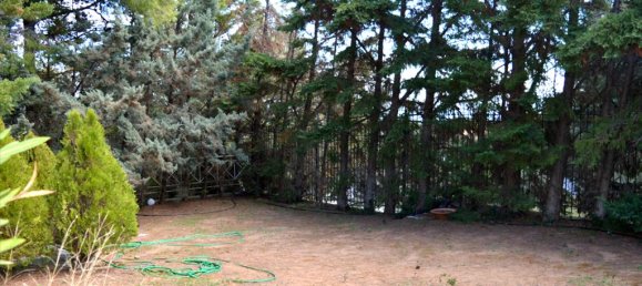 3 bedrooms Commercial property in Marathon, Greece No. 6430 11