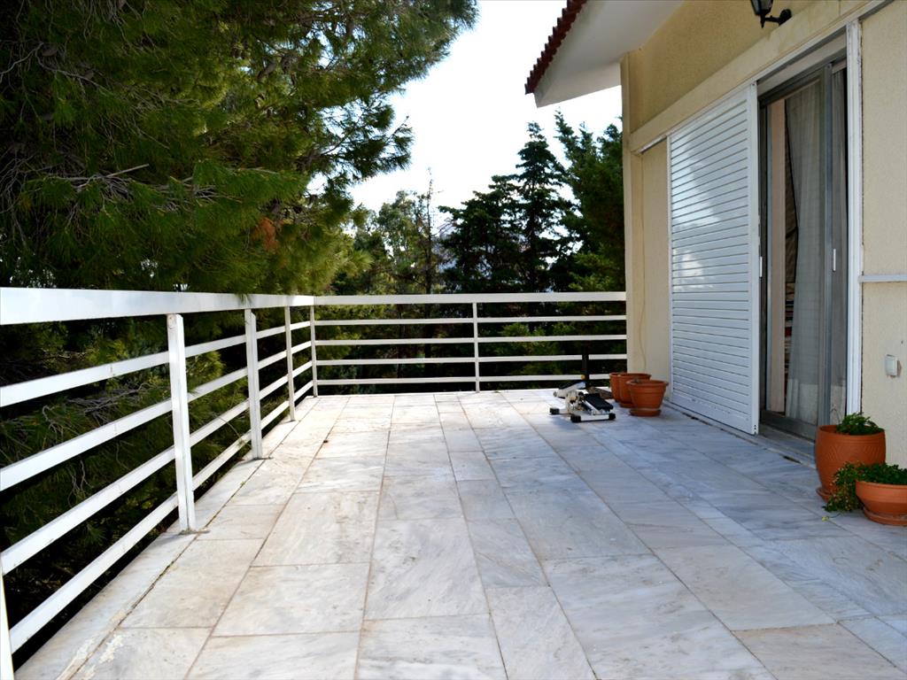 3 bedrooms Commercial property for sale in Marathon, East Attica, Attica, Greece № 6430