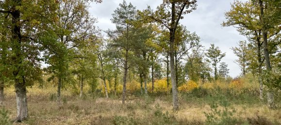8 chambres Maison à Aubigny-sur-Nère, France No. 89621 5
