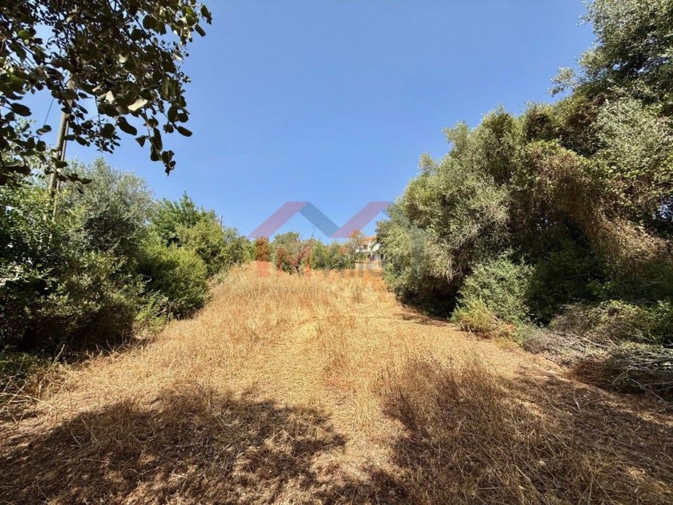  قطعة أرض في Sao Bras de Alportel, Portugal رقم 293227