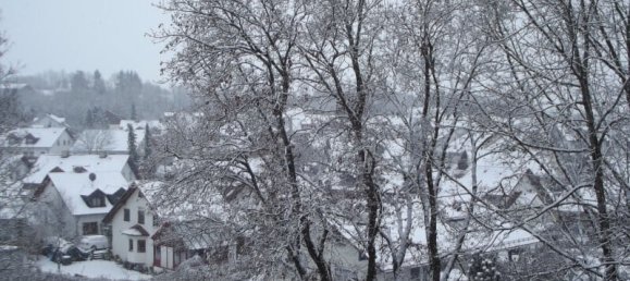 2 rooms Apartment in Baden-Wurttemberg, Germany No. 84404 13