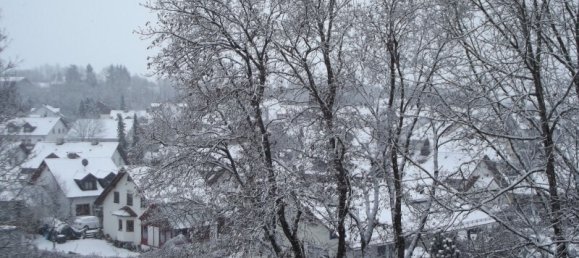 2 rooms Apartment in Baden-Wurttemberg, Germany No. 84404 7