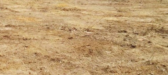 Terreno em Cadiz, Spain N.º 27485 13