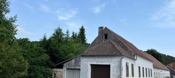 5 rooms House in Langenlois, Austria No. 245208 2