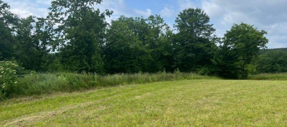 5 rooms House in Langenlois, Austria No. 245208 12