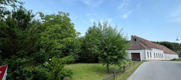 5 rooms House in Langenlois, Austria No. 245208 4