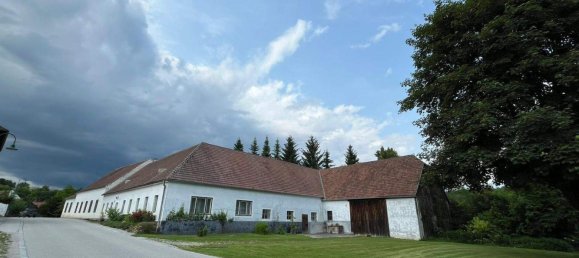 5 rooms House in Langenlois, Austria No. 245208 5