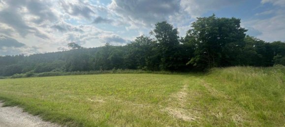 5 rooms House in Langenlois, Austria No. 245208 13