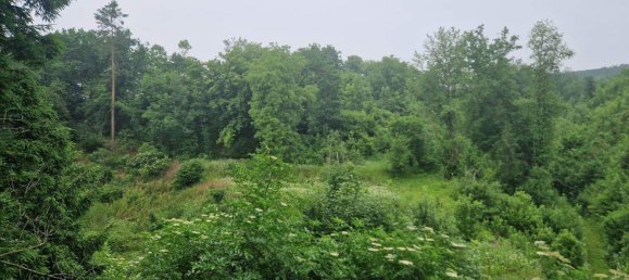 5 rooms House in Langenlois, Austria No. 245208 9