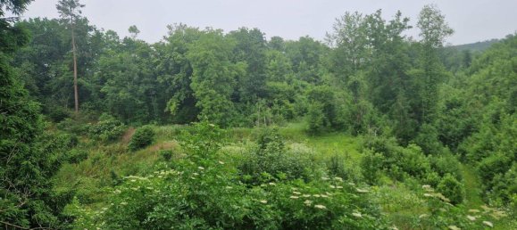 5 rooms House in Langenlois, Austria No. 245208 8