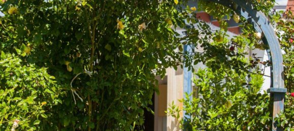 Moradia em banda de 4 divisões em Alzey-Worms, Germany N.º 239307 26