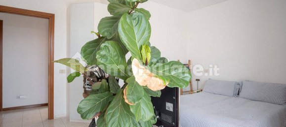 2 chambres Penthouse à Rome, Italy No. 54939 27