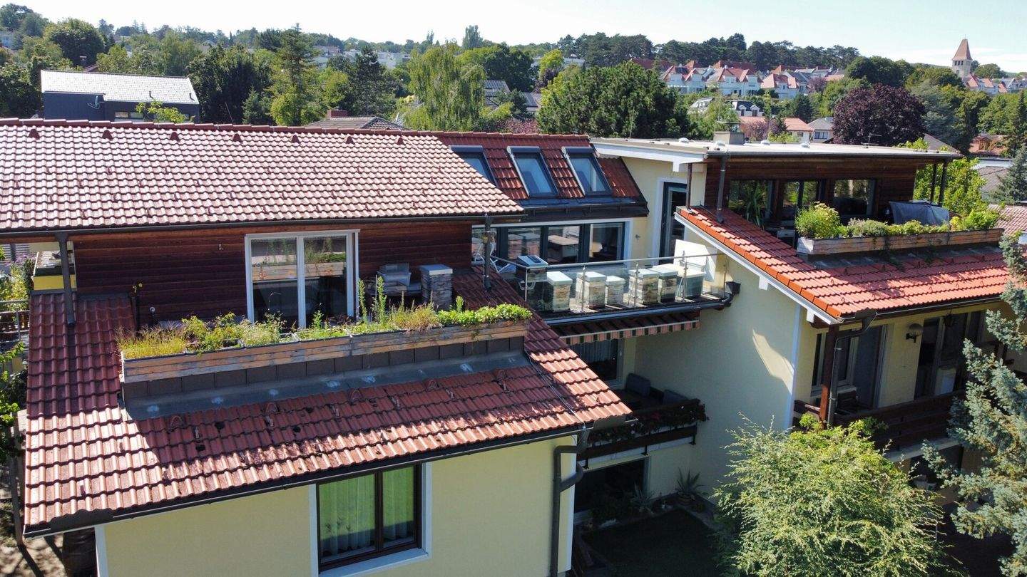 4-Zimmer Wohnung in Maria Enzersdorf, Austria, Nr. 198327