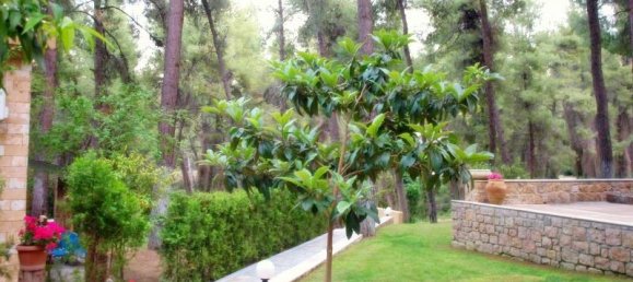 Moradia em banda em Chalkidiki, Greece 355 m² N.º 4091 27