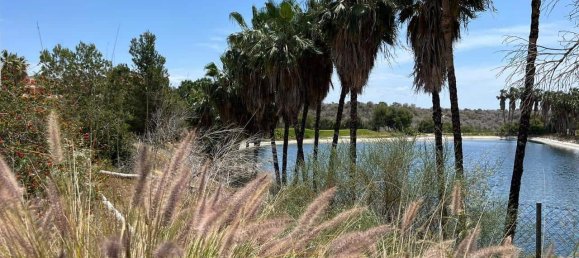 Apartamento T2 em Dehesa De Campoamor, Spain N.º 189554 21