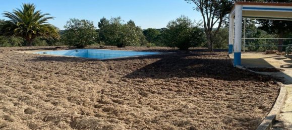 7 bedrooms House in Montijo, Portugal No. 119290 9