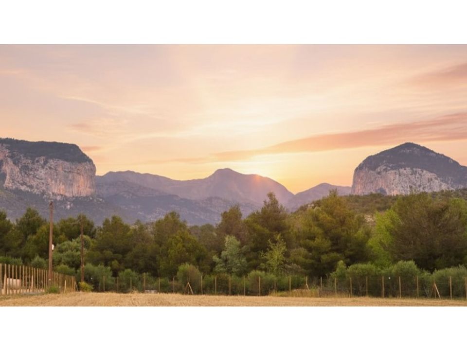  قطعة أرض في Alaro, Spain رقم 277016