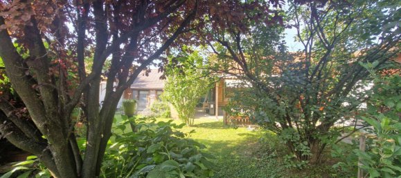 2 rooms House in Konigsbrunn am Wagram, Austria No. 223160 4