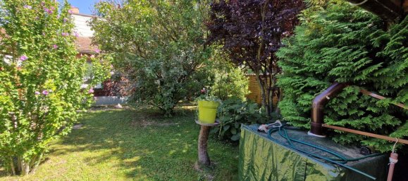 2 rooms House in Konigsbrunn am Wagram, Austria No. 223160 3