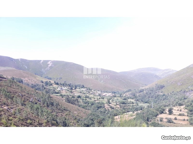 3 bedrooms House in Marco de Canaveses, Portugal No. 82664