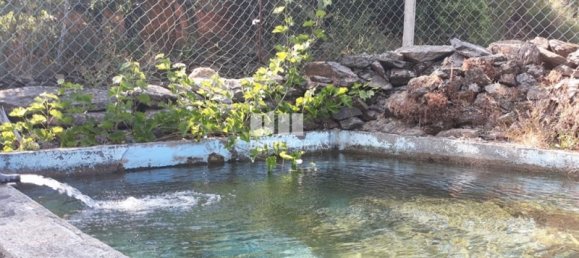 3 bedrooms House in Marco de Canaveses, Portugal No. 82664 3