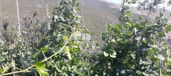 3 bedrooms House in Marco de Canaveses, Portugal No. 82664 17