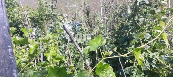 3 bedrooms House in Marco de Canaveses, Portugal No. 82664 20