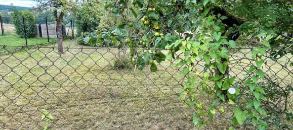 Grundstück in Saale-Orla, Germany, Nr. 242329 9