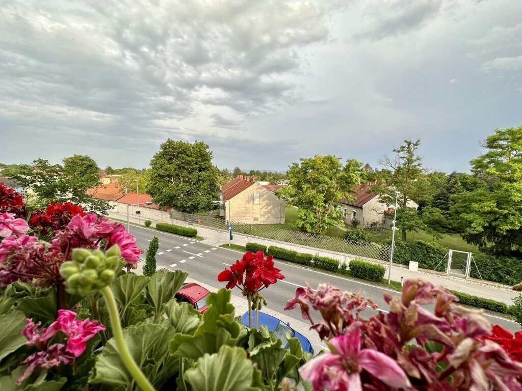 3 rooms Apartment in Ebergassing, Austria No. 32276