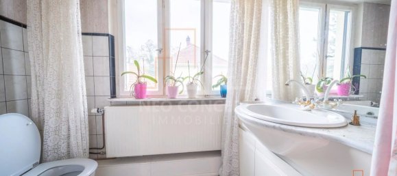 Casa de 4 divisões em Drusenheim, France N.º 51101 16