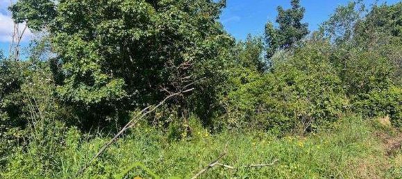 قطعة أرض في Montespertoli, Italy رقم 334766 6