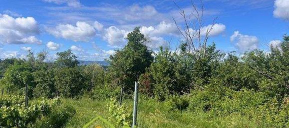 قطعة أرض في Montespertoli, Italy رقم 334766 3