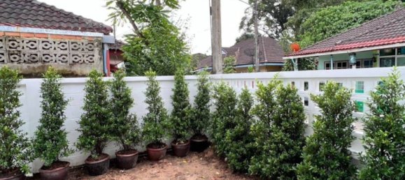 3 bedrooms Cafe / restaurant in Phuket, Thailand No. 7848 15