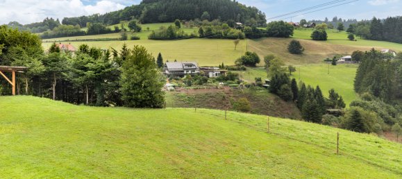 1 bedroom Apartment in Ortenaukreis, Germany No. 276787 2