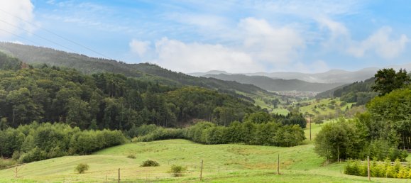 1 bedroom Apartment in Ortenaukreis, Germany No. 276787 10