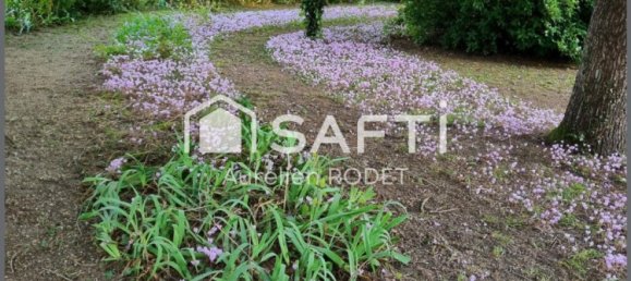 10 bedrooms Villa in Vatan, France No. 159568 8