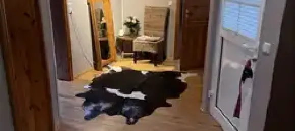 11-Zimmer Gebäude in Steinburg, Germany, Nr. 15561 23