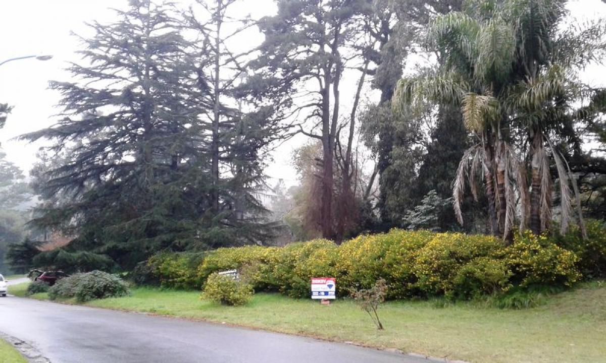  Land in Buenos Aires, Argentina No. 112882