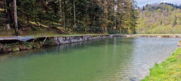 3 غرف نوم منزل في Lubine, France رقم 69102 6