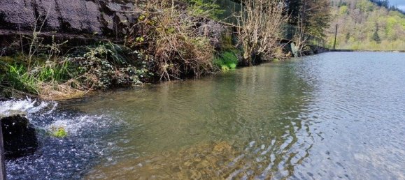 3 غرف نوم منزل في Lubine, France رقم 69102 16